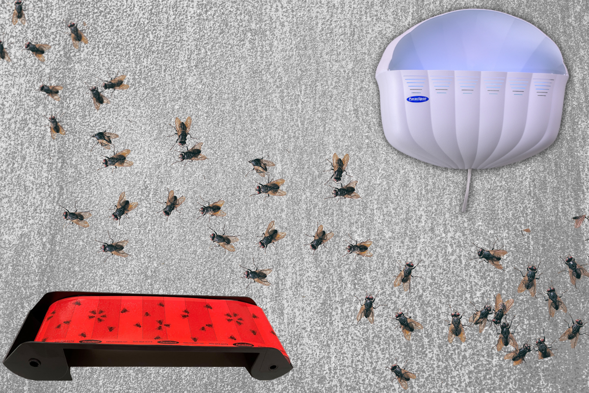 4 Ways to Get Rid of Drain Flies - wikiHow